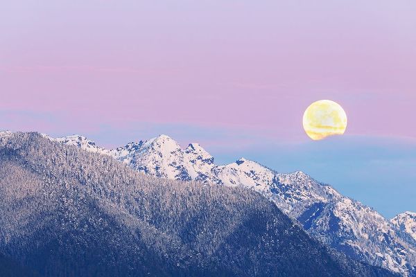 Washington State Moon setting over the Olympic Mountains at sunrise